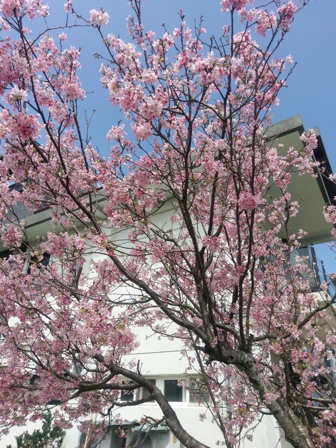 月光石-蘭陽夜景民宿 Dayin エクステリア 写真